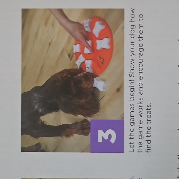 Outward Hound Dog Smart Orange and White Level 1 Puzzle NIB - Picture 6 of 7